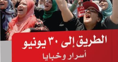 الطريق إلى 30 يونيو.. كيف جسد الأدب الحدث السياسي