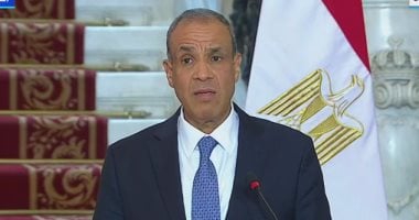 وزير الخارجية: نرفض مخططات التهجير.. ومؤتمر إعمار غزة فور وقف إطلاق النار وزير الخارجية