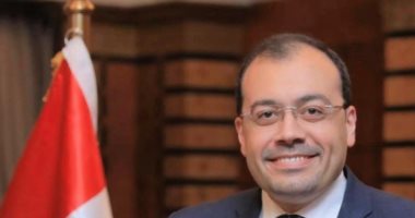 حماة الوطن: الجدول الزمنى لانتخابات الشيوخ يُظهر حرفية عالية واستعداد مؤسسى