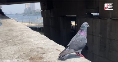 حمام الميادين 