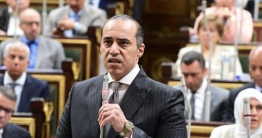 وزير الشئون النيابية المستشار محمود فوزي