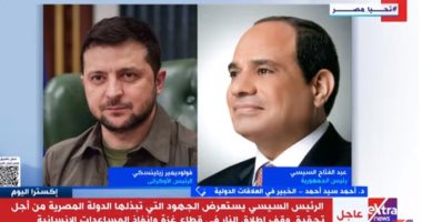 خبير: كييف تقدر تبنى مصر سياسة الحياد الإيجابى خلال الحرب الأوكرانية الروسية
