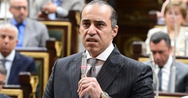 المستشار محمود فوزي وزير الشؤون القانونية والنيابية