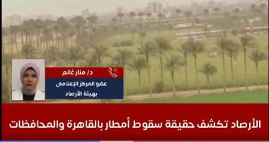 الأرصاد تكشف حقيقة سقوط أمطار بالقاهرة والمحافظات.. فيديو