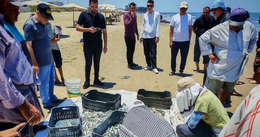 بين الشبك والأمواج.. شاهد نهاية رحلة الصيد فى بحر بورسعيد