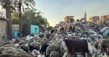 تلال القمامة تحاصر مقابر مدينة الحوامدية.. والأهالى يناشدون المسؤولين بالتدخل.. صور تلال القمامة تحاصر مقابر مدينة الحوامدية