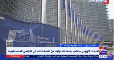 خبير: مطالبة الاتحاد الأوروبى بمساءلة دولية عن انتهاكات غزة خطوة متقدمة ولكن غير كافية