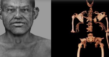 علماء يفكون شفرة الحمض النووى الكامل لرجل مصرى قديم "اعرف الحكاية"
