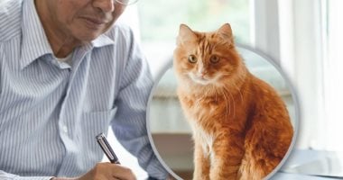 مسن صينى عمره 82 عاما يخطط لترك ميراثه لقطته ويبحث عن راع يثق فيه مسن يترك ميراثه لقطته