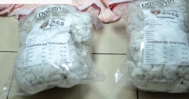 دمية الكوكايين.. أمن بورتوريكو يحبط محاولة تهريب مخدرات داخل دمية لأستراليا دمية الكوكايين