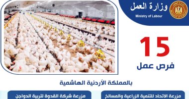 وزارة العمل: 15 فرصة عمل جديدة في الأردن في مجالات تربية الدواجن 15 فرصة عمل جديدة في الأردن