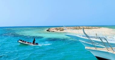 "جزيرة أم الشيخ" أهم مواطن الكائنات البحرية النادرة بالبحر الأحمر.. طبيعتها الساحرة جعلتها محمية مفتوحة.. يقصدها سياح العالم المهتمين بالنشاط البحرى.. ويستمتع من يغوص بالقرب منها لمشاهدة جمال الشعاب حولها.. صور جزيرة أم الشيخ