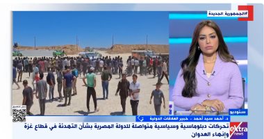 خبير: مصر صمام أمان للقضية الفلسطينية وتتحرك لتحقيق سلام عادل ودائم