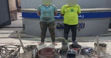 الداخلية تضبط شخصين ينقبان عن الآثار فى البساتين المتهمان