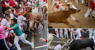 مهرجان مصارعة الثيران في إسبانيا