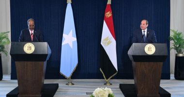 الرئيس السيسى: ناقشت مع رئيس الصومال الأوضاع الأمنية والسياسية فى القرن الأفريقى
