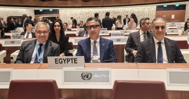 وزير التموين يترأس وفد مصر بمؤتمر الأمم المتحدة حول المنافسة وحماية المستهلك بجنيف