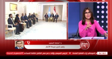 أسامة السعيد: زيارة الرئيس الصومالي لمصر تعكس شراكة استراتيجية