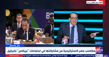عضو لجنة الشؤون الآسيوية: مصر تستغل قمة بريكس 2025 لجذب الاستثمارات