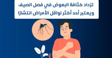 كيف يمكن الوقاية من لدغات البعوض؟ وزارة الصحة توضح