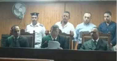 تفاصيل سجن السائق المتسبب فى وفاة 19 ضحية على الإقليمى بالمنوفية.. فيديو