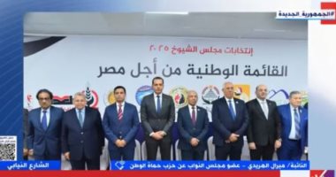 النائبة ميرال الهريدي: توافق الأحزاب في القائمة الوطنية تعبير عن حالة من الوعي السياسي