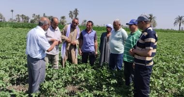 زراعة الفيوم تعمل على الوعى المجتمعى وتأهيل السيدات.. تنظيم 77 ندوة إرشادية وتثقيفية لتوعية المزارعين.. و12 برنامجا تدريبيا للسيدات.. و52 لقاء وزيارة حقلية.. ومحافظ الفيوم: القيادة السياسية تهتم بالقطاع الحيوى
