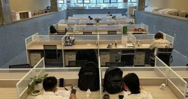 حمام السباحة يتحول لمكتب موظفين