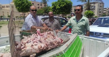 ضبط دواجن نافقة قبل بيعها للمواطنين فى بورسعيد.. صور