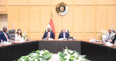 نائب رئيس الوزراء يبحث تنفيذ الشركات المصرية لمشروعات البنية التحتية بالكونغو جانب من اللقاء