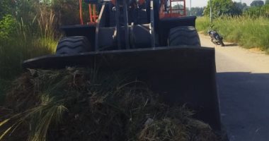 رفع 8 أطنان قمامة وتراكمات خلال حملة نظافة عامة بقرية المريس فى الأقصر