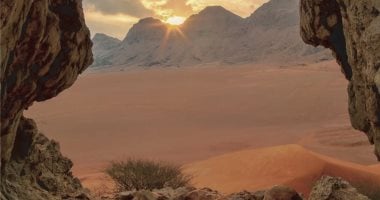 موقع الفاية