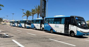 نيوز برو : 
                                            تعرف على خطوط النقل الداخلية الرئيسية بمدينة العلمين الجديدة
                                        