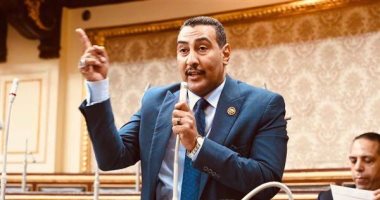 النائب محمد الجبلاوى: مصر لن تتخلى عن فلسطين والتظاهر أمام سفاراتنا تشويه غير مبرر