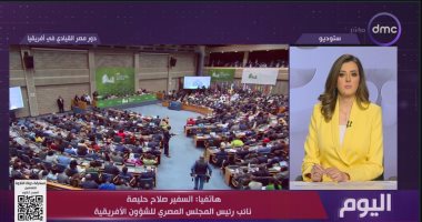 صلاح حليمة: مصر تلعب دوراً محورياً مزدوجاً فى أفريقيا لتعزيز التعاون والتكامل