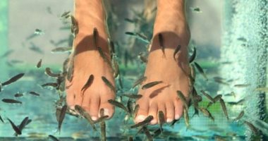 6 علاجات تجميل خطيرة ومثيرة للاشمئزاز.. حمام ثعابين البحر الأبرز