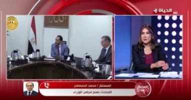 متحدث الوزراء: سددنا جزءا من التزاماتنا مع الشركاء الأجانب بشأن مواد البترول جانب من المداخلة
