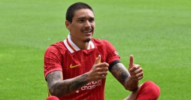 أهداف مباراة بريستون ضد ليفربول وديا بمشاركة محمد صلاح نونيز