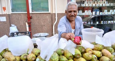 رزق الصيف تحت الشمس.. حكاية "هاني" بائع التين الشوكي بشوارع قنا منذ 15 عاما