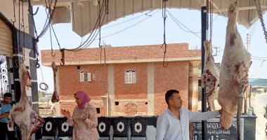 ضبط كمية من اللحوم والدجاج المخالفة للمواصفات بالدقهلية