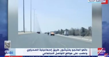"ستوديو إكسترا" يسلط الضوء على سلوكيات بائعي المانجو بطريق الإسماعيلية