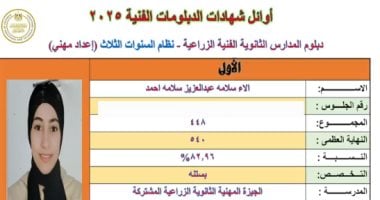 بالاسم والمجموع.. قائمة أوائل الدبلومات الفنية على مستوى الجمهورية 2025 أوائل الدبلومات الفنية