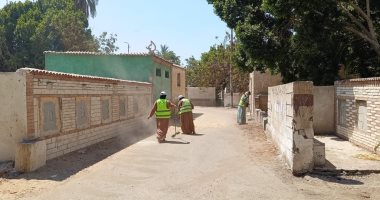 حملة نظافة بمقابر مدينة الإسماعيلية فى حي ثان.. اعرف التفاصيل