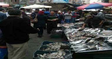 أسعار الأسماك بأسواق مطروح اليوم السبت 19-7-2025.. المرجان بـ160 جنيها