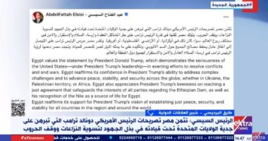 خبير: مصر رائدة الاستقرار والسلام والتنمية والحفاظ على مبادئ التنظيم الدولى