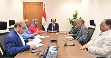 وزير الرى: دراسة توفير قطعة أرض بمقابل انتفاع لأحد مراكز الشباب بالدقهلية جانب من اللقاء
