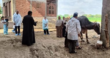 مدير بيطرى الغربية يتفقد أعمال تحصين المواشي ضد الحمى القلاعية بطنطا