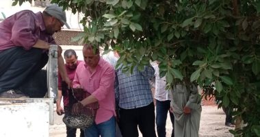 استلام 4 ملايين ذريعة سمكية من أسماك البلطى بالدقهلية