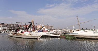 وزارة الزراعة تكشف الأسباب العلمية وراء نفوق الأسماك فى مزارع بحيرة المنزلة بحيرة المنزلة