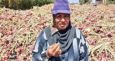 حكاوى الغيطان.. "أم سعيد" أشهر رئيسة أنفار تنافس الرجال فى الزراعة والحصاد